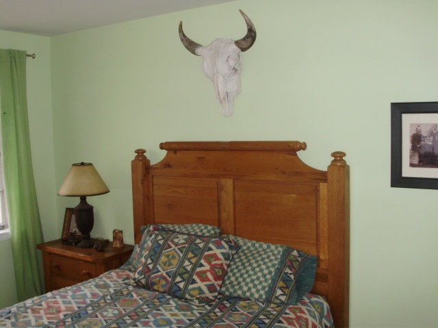 A bedroom set I have owned for years with a buffalo skull above the bed.